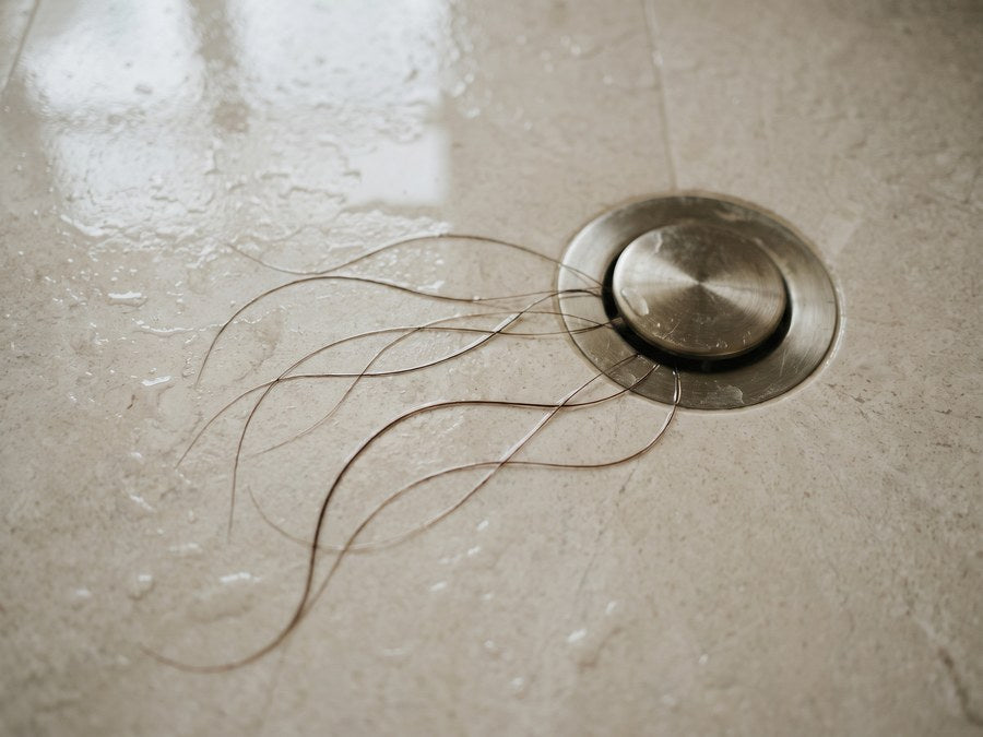 Pelos largos alrededor del desagüe de la ducha