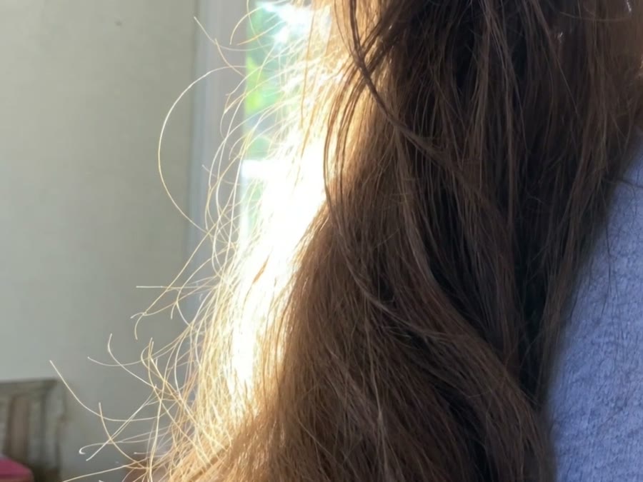 Pelos sueltos encendidos por la luz a contraluz
